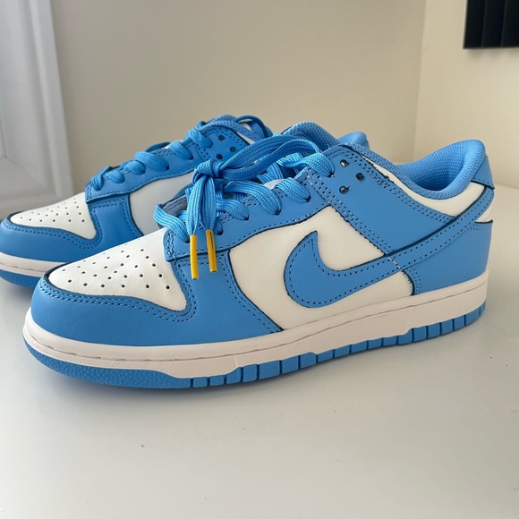 Nike Dunks Coast Low - Picture 1 of 3